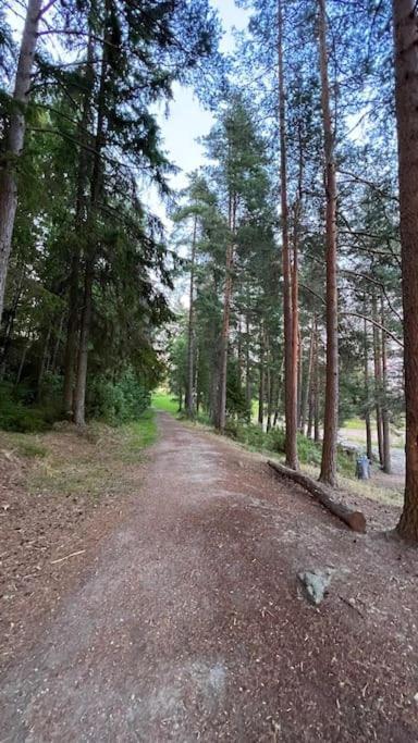 Attraktiv & Smart Funkishytte Pa Nes Strandhager. Arnes  Bagian luar foto